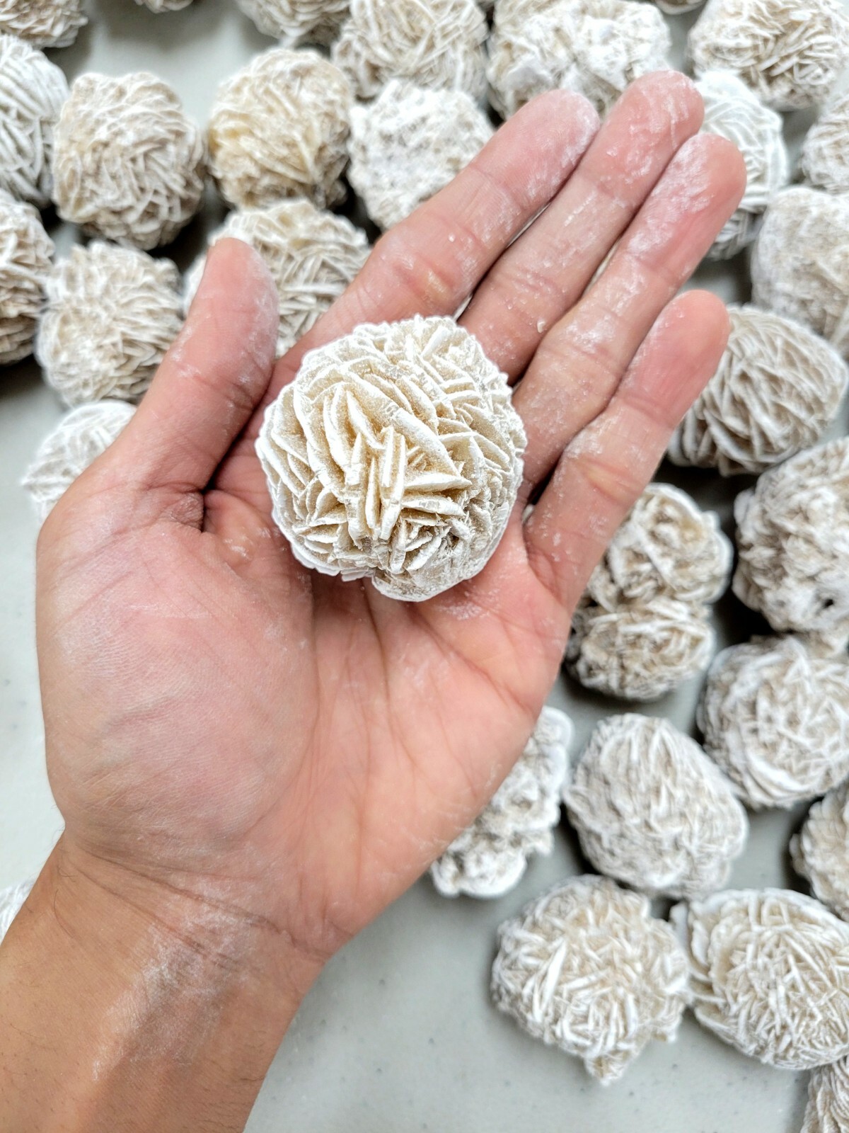 Large Desert Rose Crystal Specimens Raw Selenite Gypsum Sand Rose Cluster