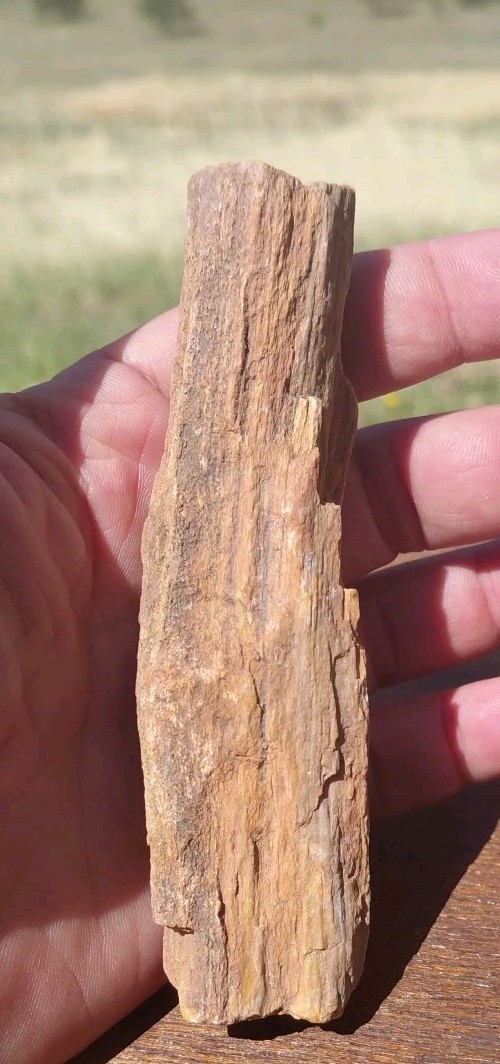 Petrified Wood Fossilized Twisted Branch Bark Druzy Quartz 1/4Lb – 4 1/2″×1 1/4″