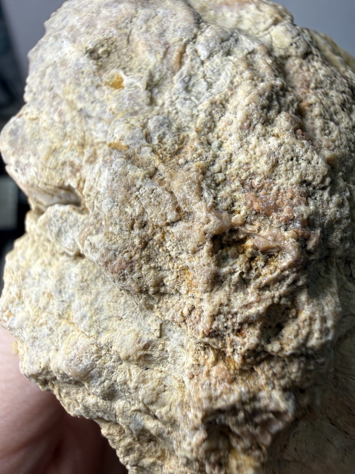 Natural Quartz Crystal Mineral Geode Pieces Annville, Kentucky 236grams