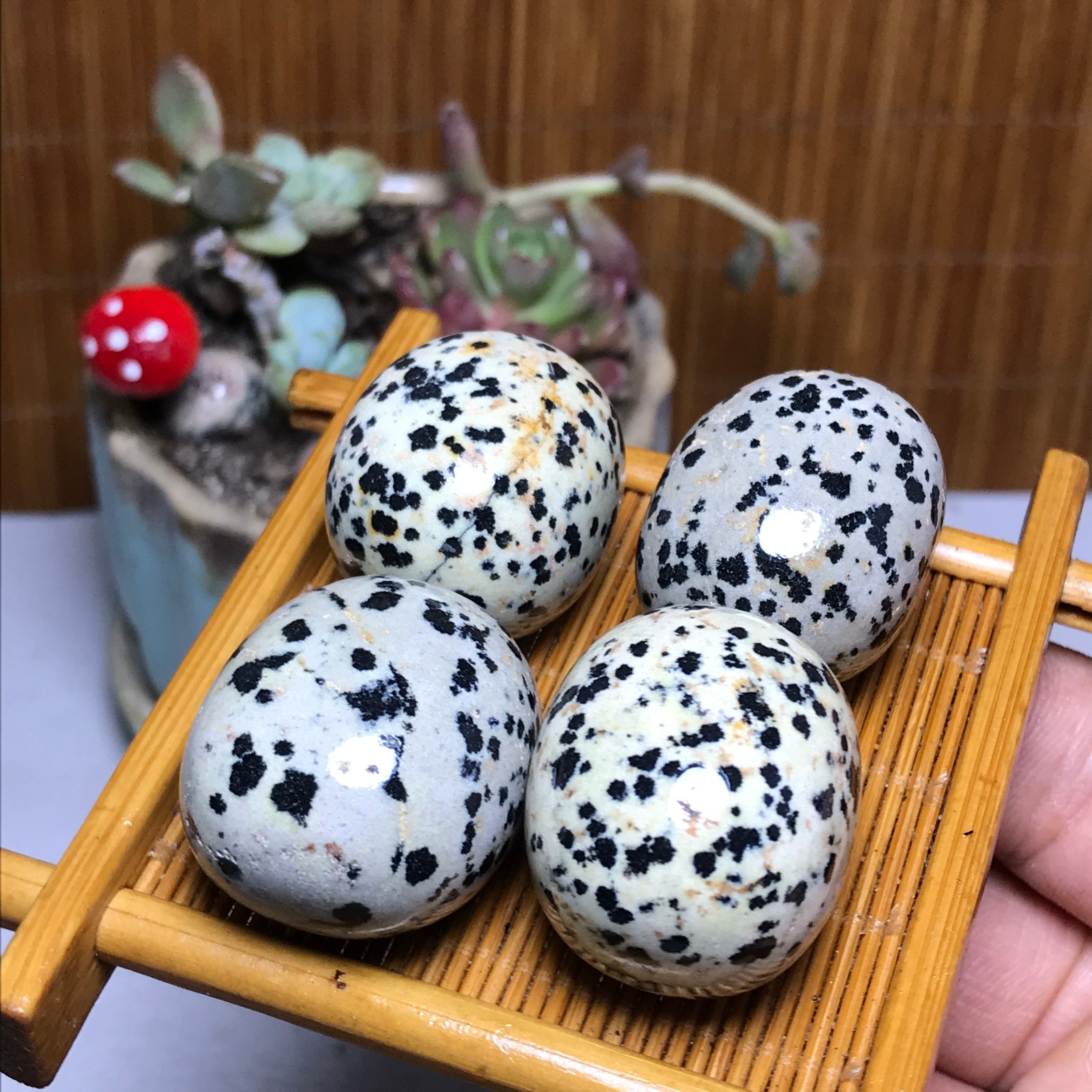 28-23-23mm 4Pcs Natural spotted stone Crystal gemstone Mineral Specimen A4404