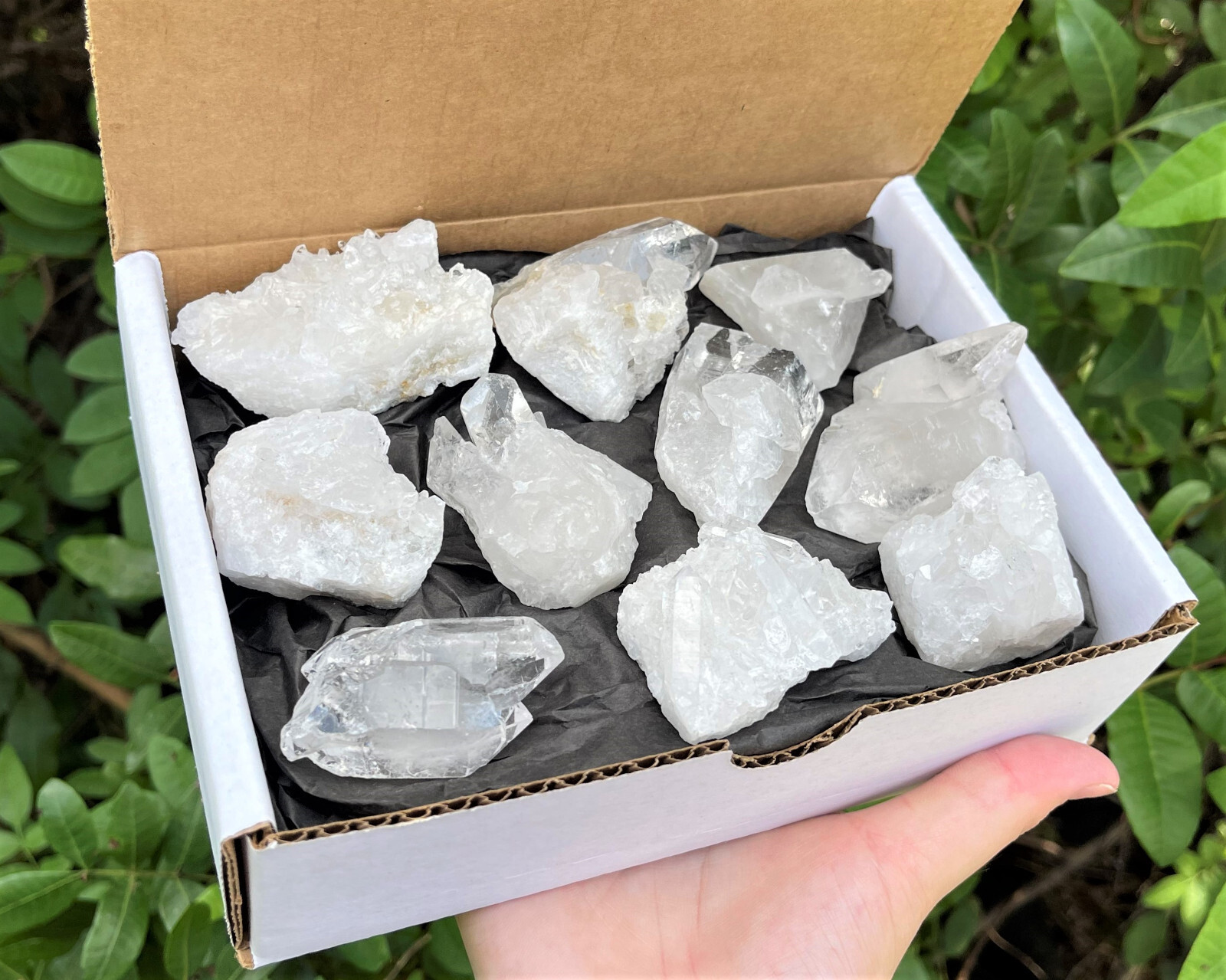 Clear Quartz Crystal Clusters Box: 8 – 12 Piece Box Lot (Clear Quartz Clusters)