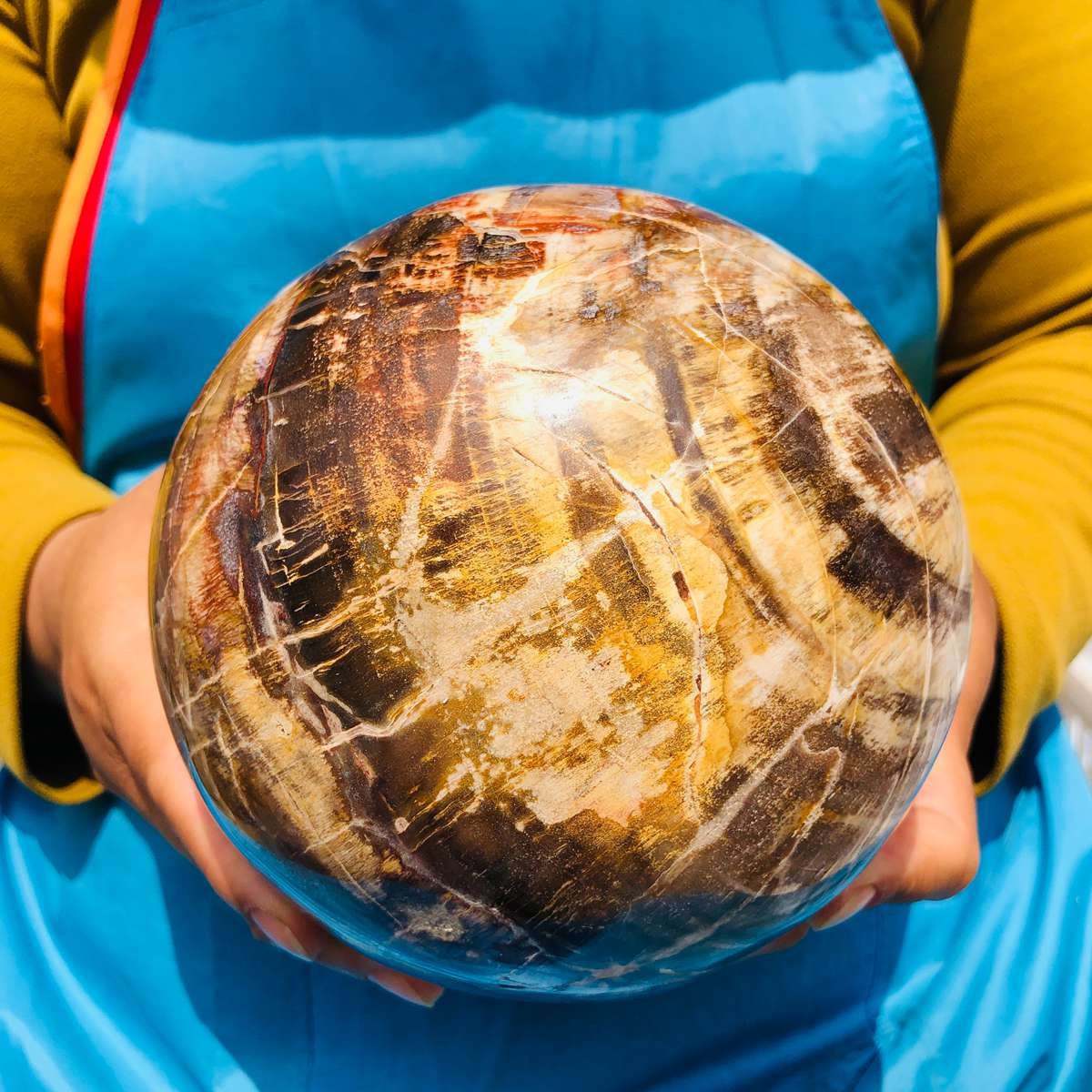 8.18LB Rare Natural Petrified Wood Ball Crystal Quartz Mineral Healing 4698