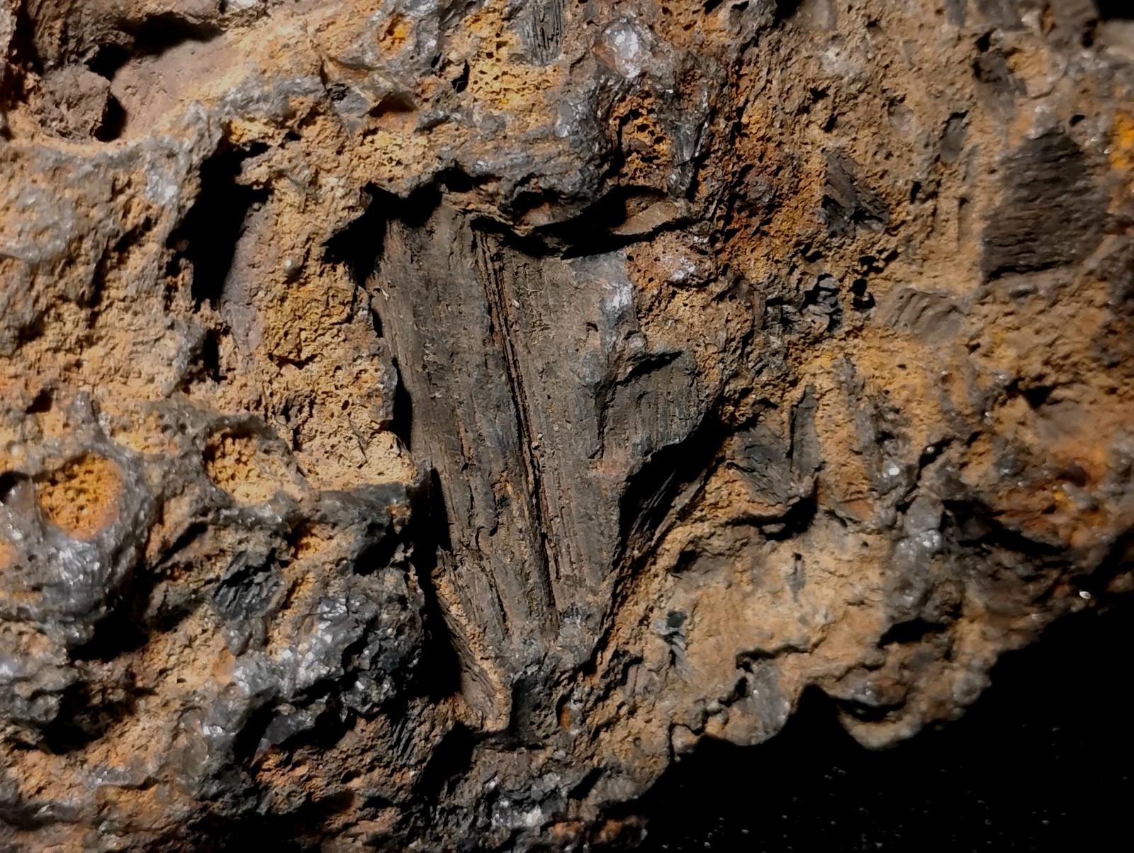 8″ Rare Missouri Iron-Aged Fossil Wood in Smoky Chalcedony – Knob Creek