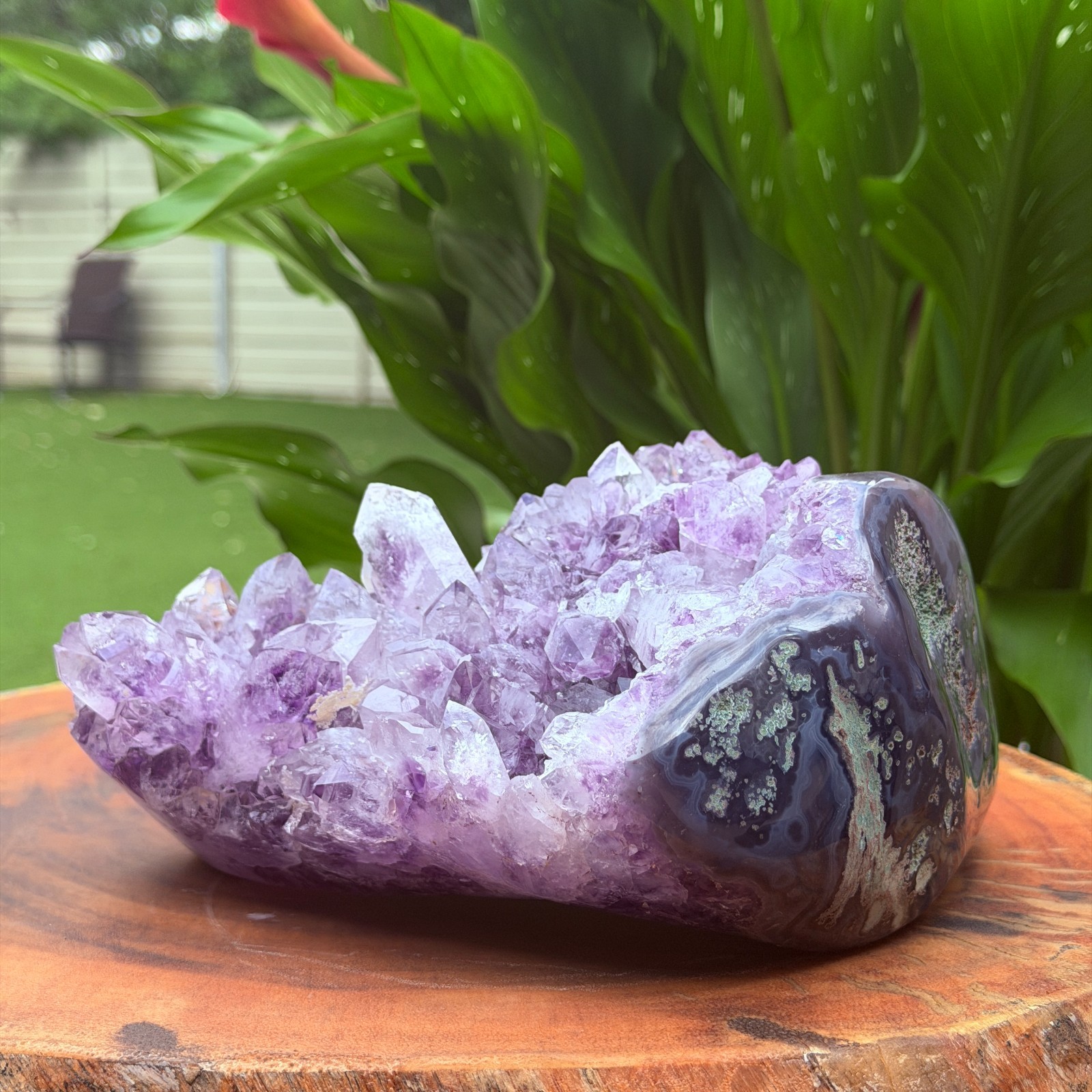 Massive Museum Grade Amethyst Geode Specimen 3.49kg Serra do Sol Brazil
