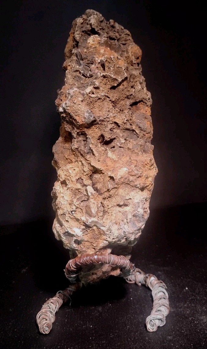 8″ Rare Missouri Iron-Aged Fossil Wood in Smoky Chalcedony – Knob Creek