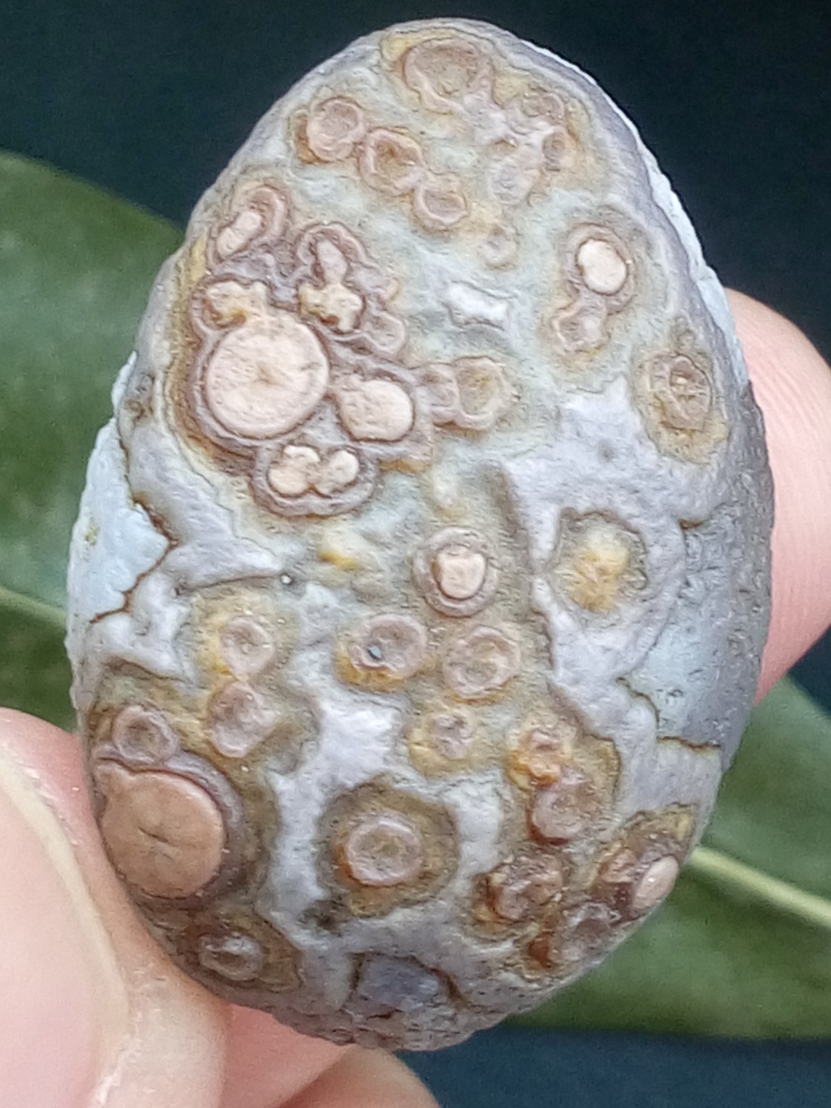12g/36mm Natural GoBi Agate eye agate/stone cute collection