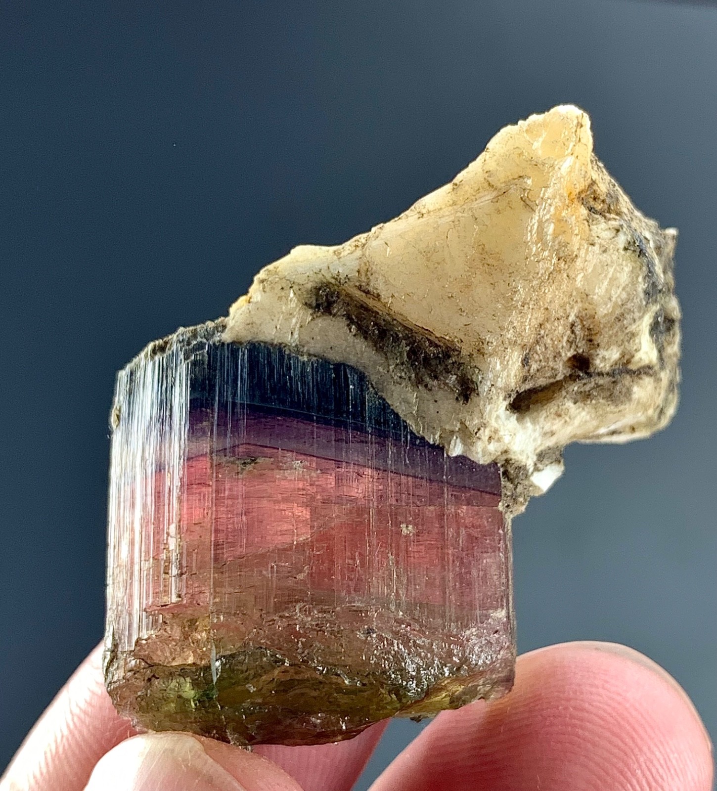 Natural Multicolor Tourmaline Crystal specimen from Afghanistan | 58 CTs