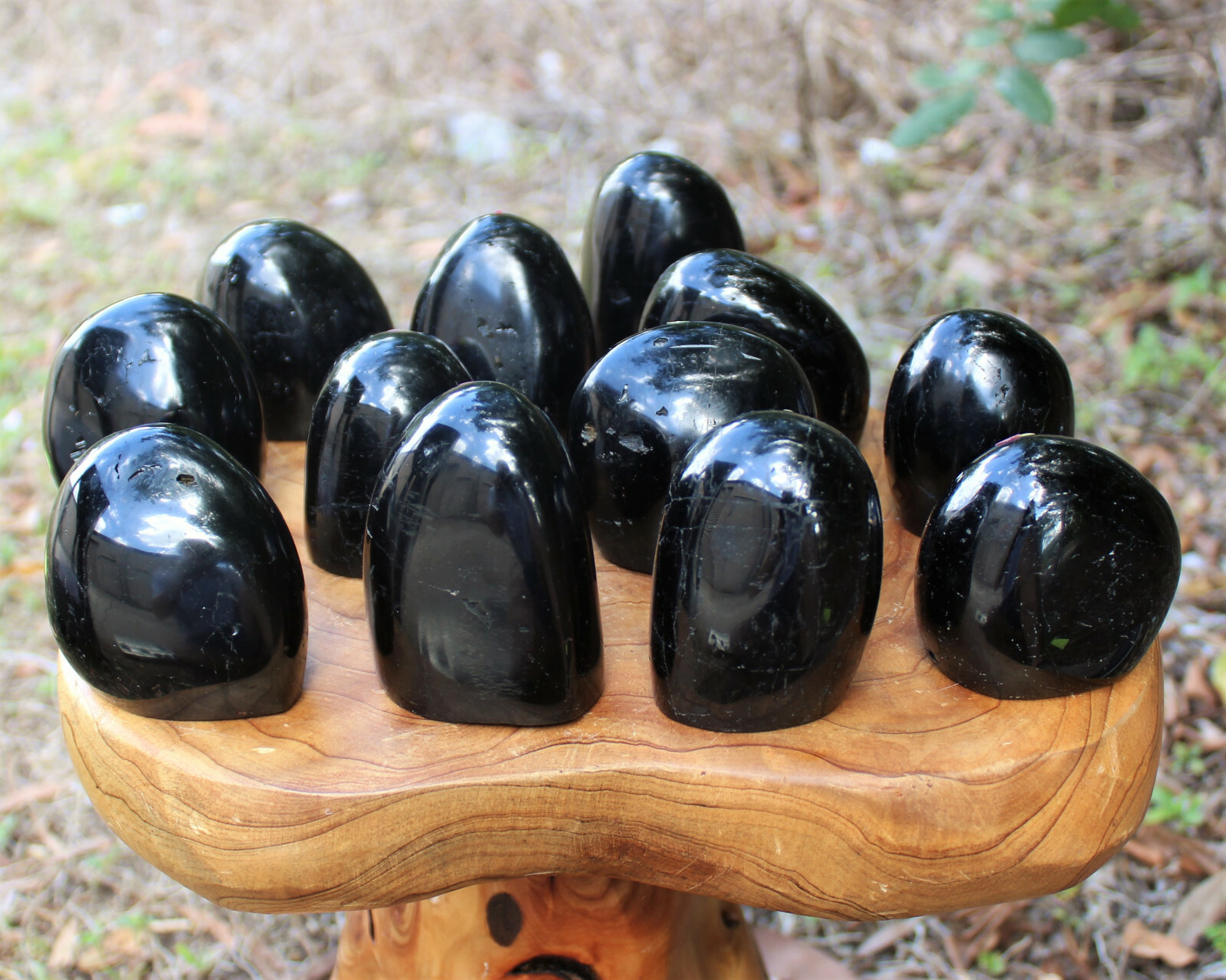 Polished Black Tourmaline Freeform: Cut Base Free Standing Display Specimens