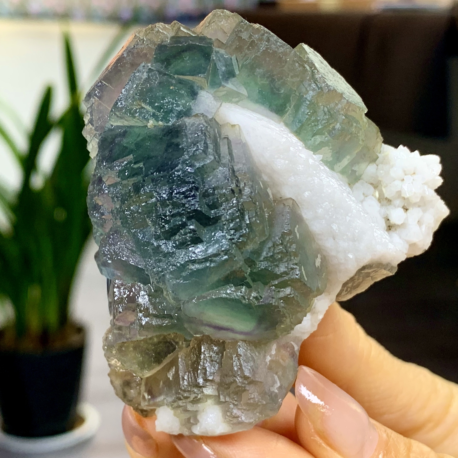 197G Rare transparent blue green cubic fluorite mineral crystal sample