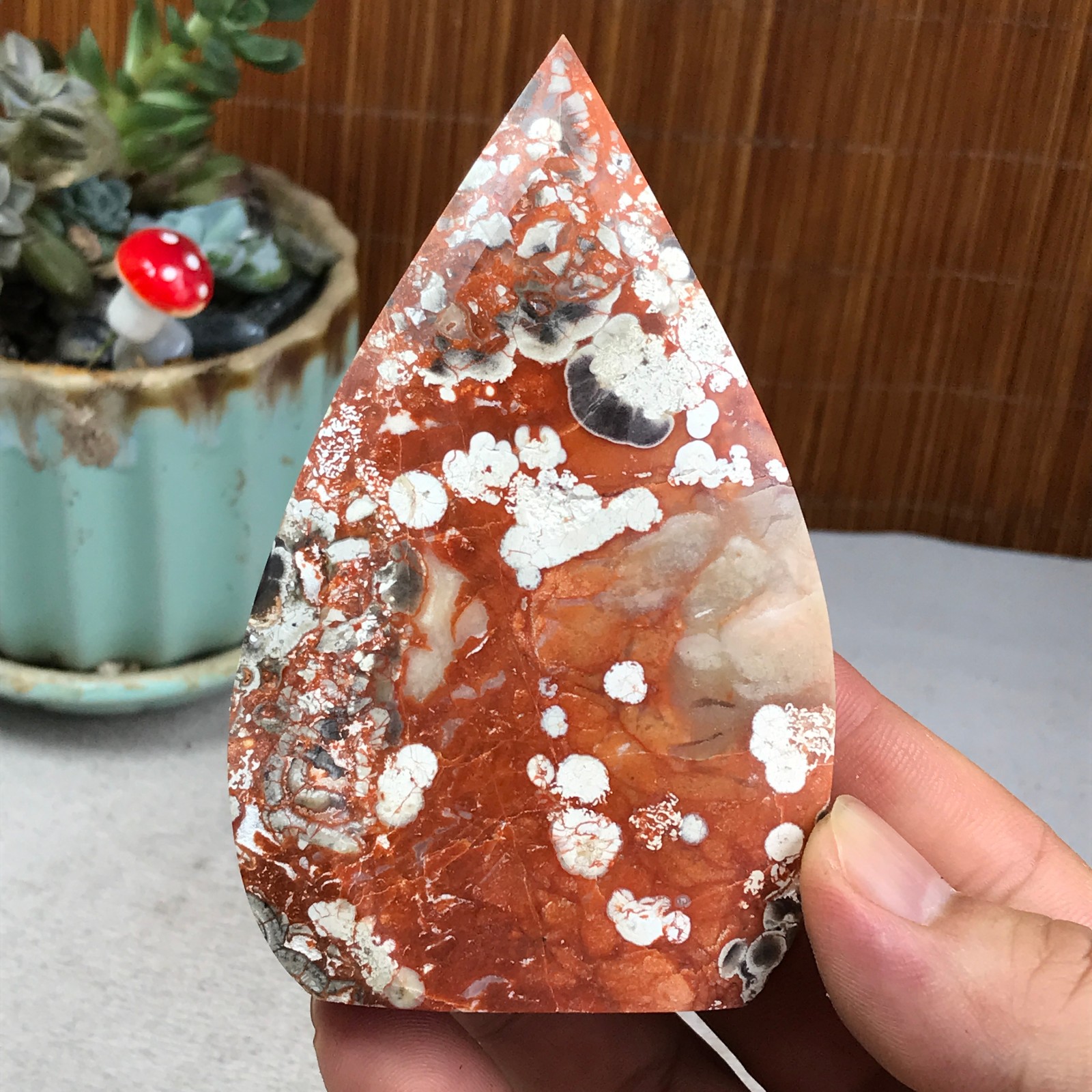 Natural money Mexico agate hand carve leaf Crystal Specimen free standing A6266