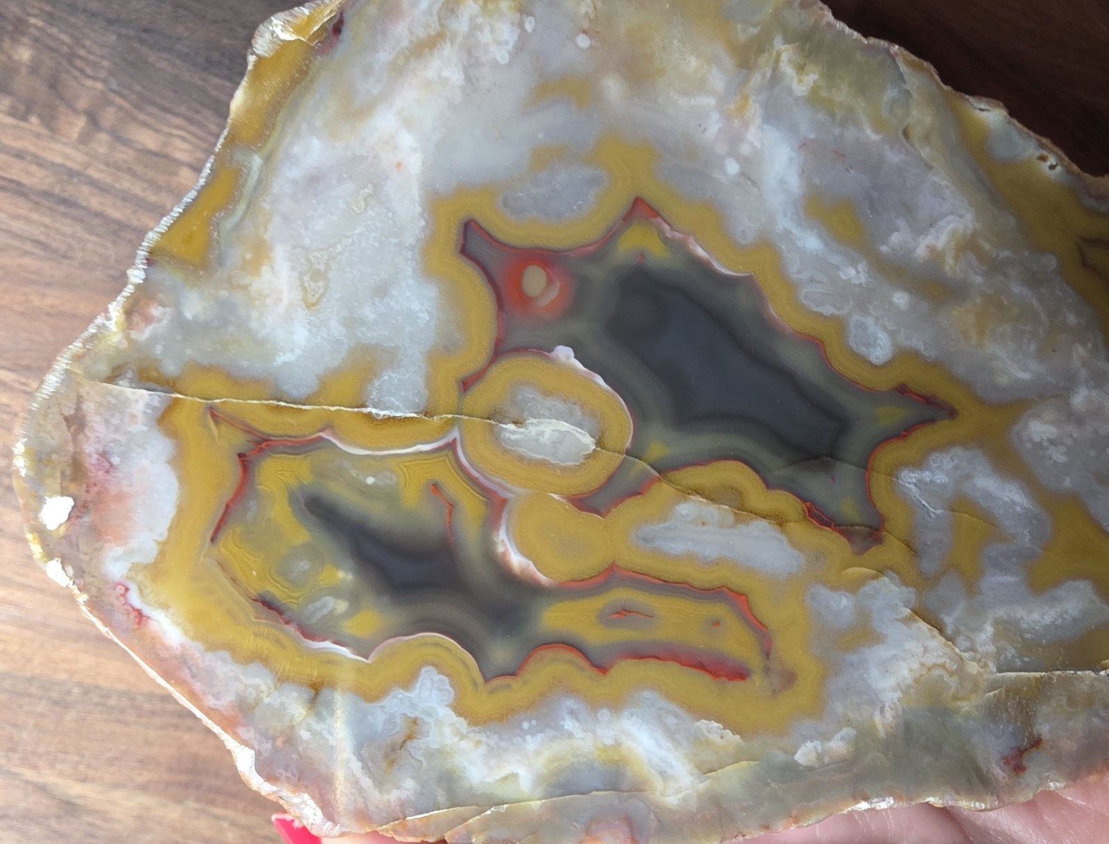 Beautiful Kentucky Agate Slab-Black, red, yellow with polished face #S-70
