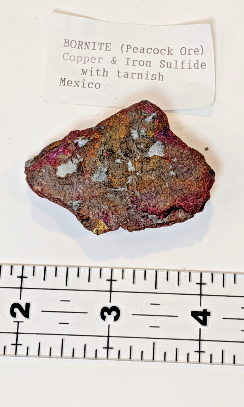 Bornite Peacock Ore Iridescent Tarnish Mexico Copper Sulfide Specimen BEAUTIFUL