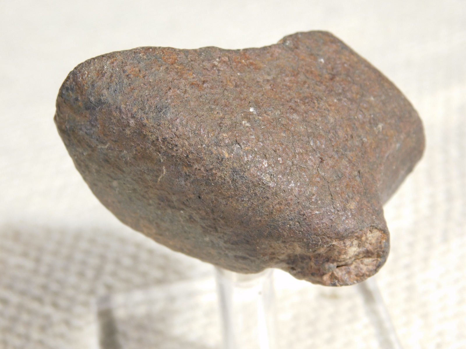 Stony N.W.A. METEORITE 100% Natural FELL in Libya 98.4gr