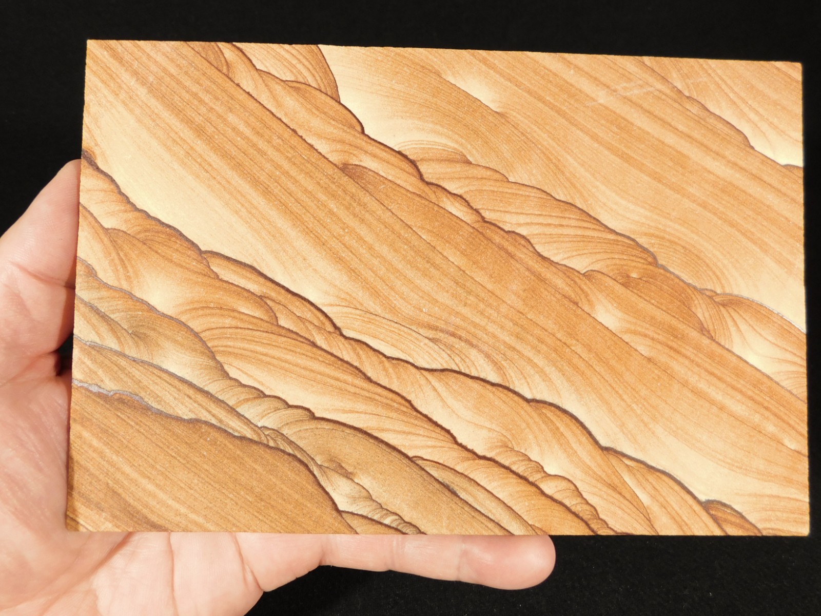 Larger! PICTURE Stone or SANDSTONE Slice/Slab with Display Stand Utah 391gr