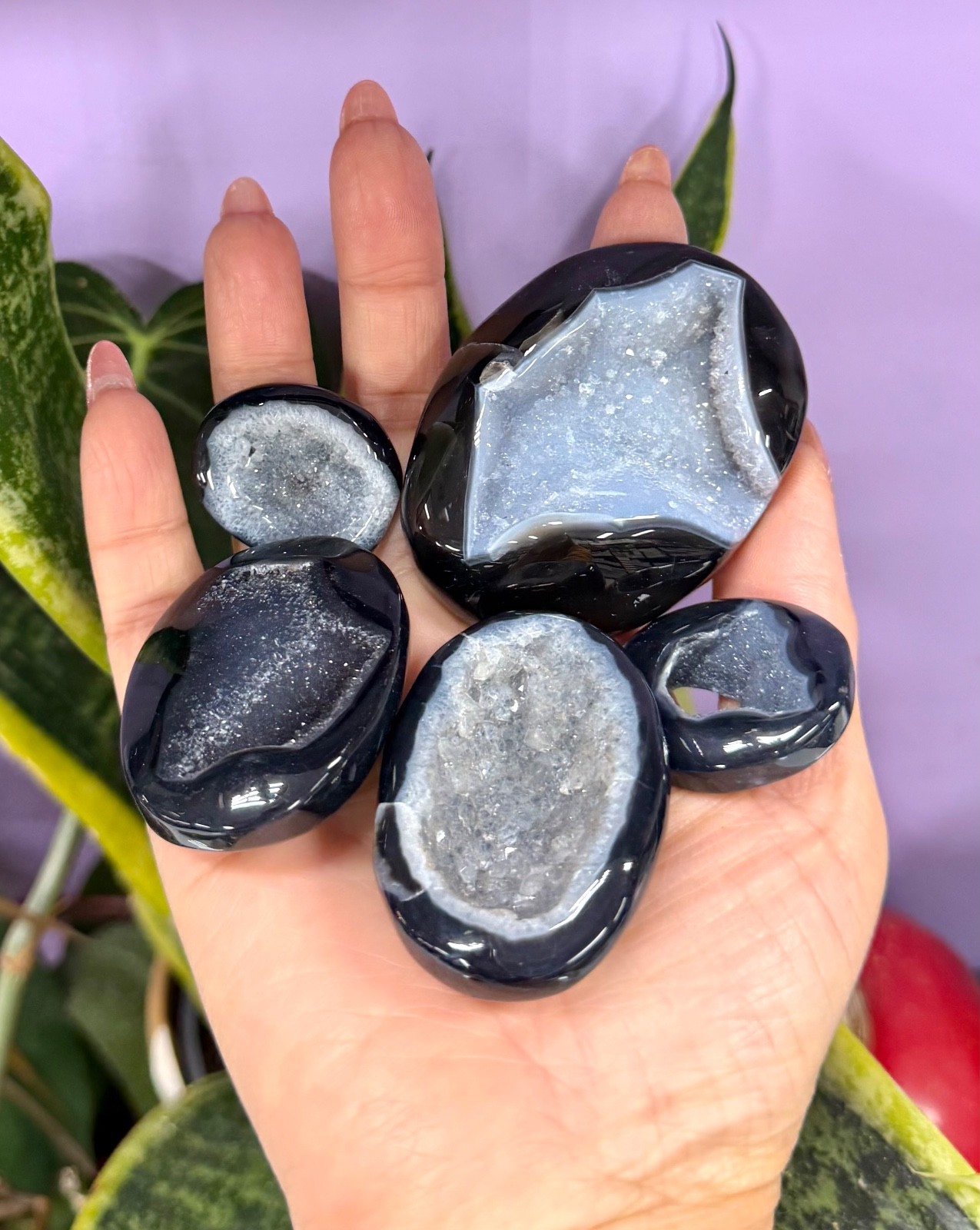 Wholesale Lot 2 Lbs Natural Druzy Onyx Palm Stone Crystal Healing Energy.