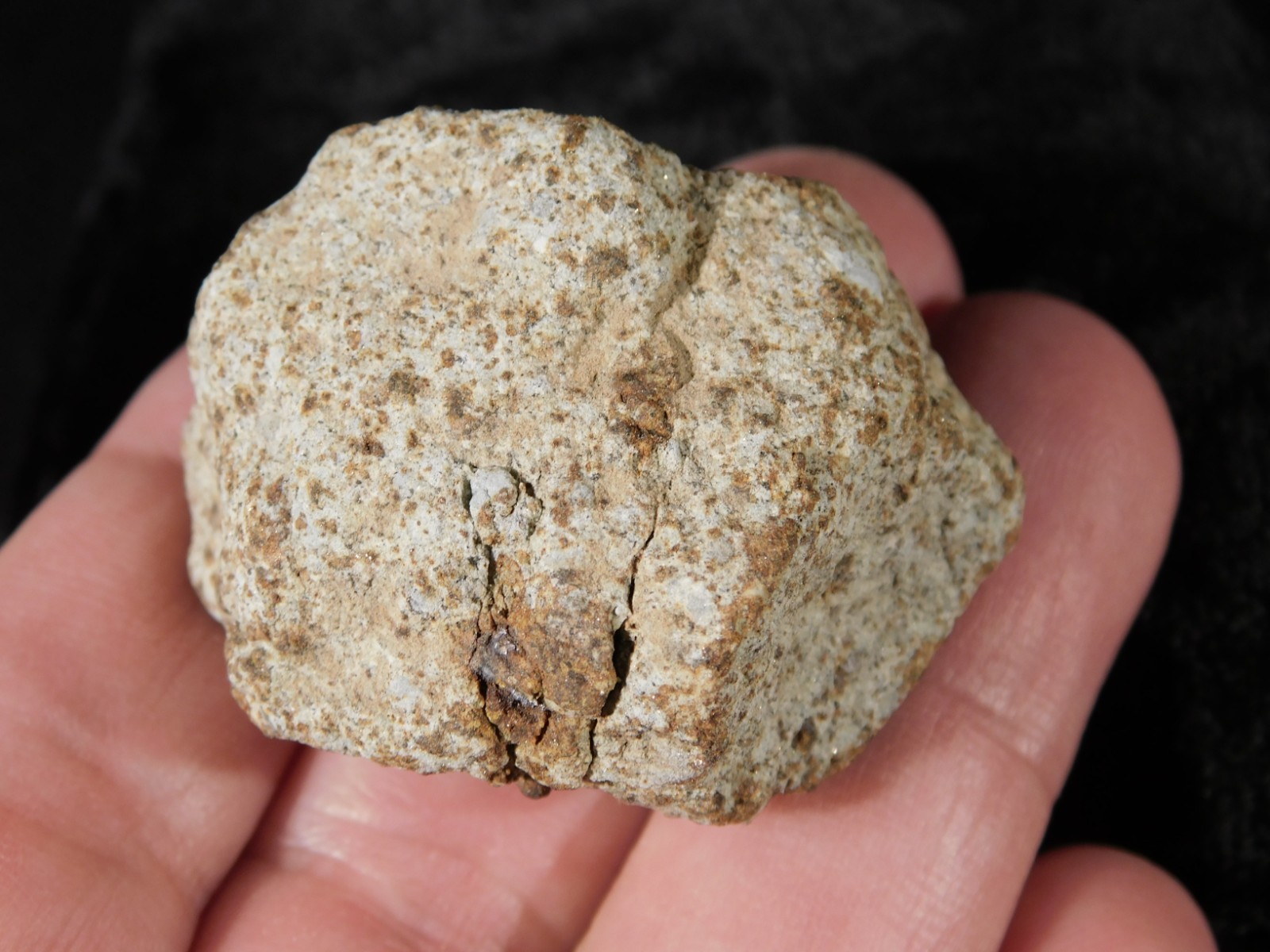 Classified NWA 8245 METEORITE Spots of Dark Fusion Crust! Erfoud, Morocco 52.8gr