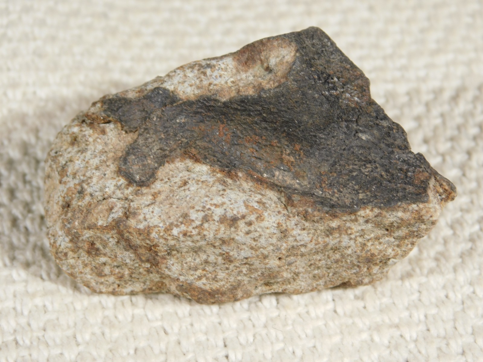 Classified NWA 8245 METEORITE 100% Natural FELL on Erfoud, Morocco 68.1gr