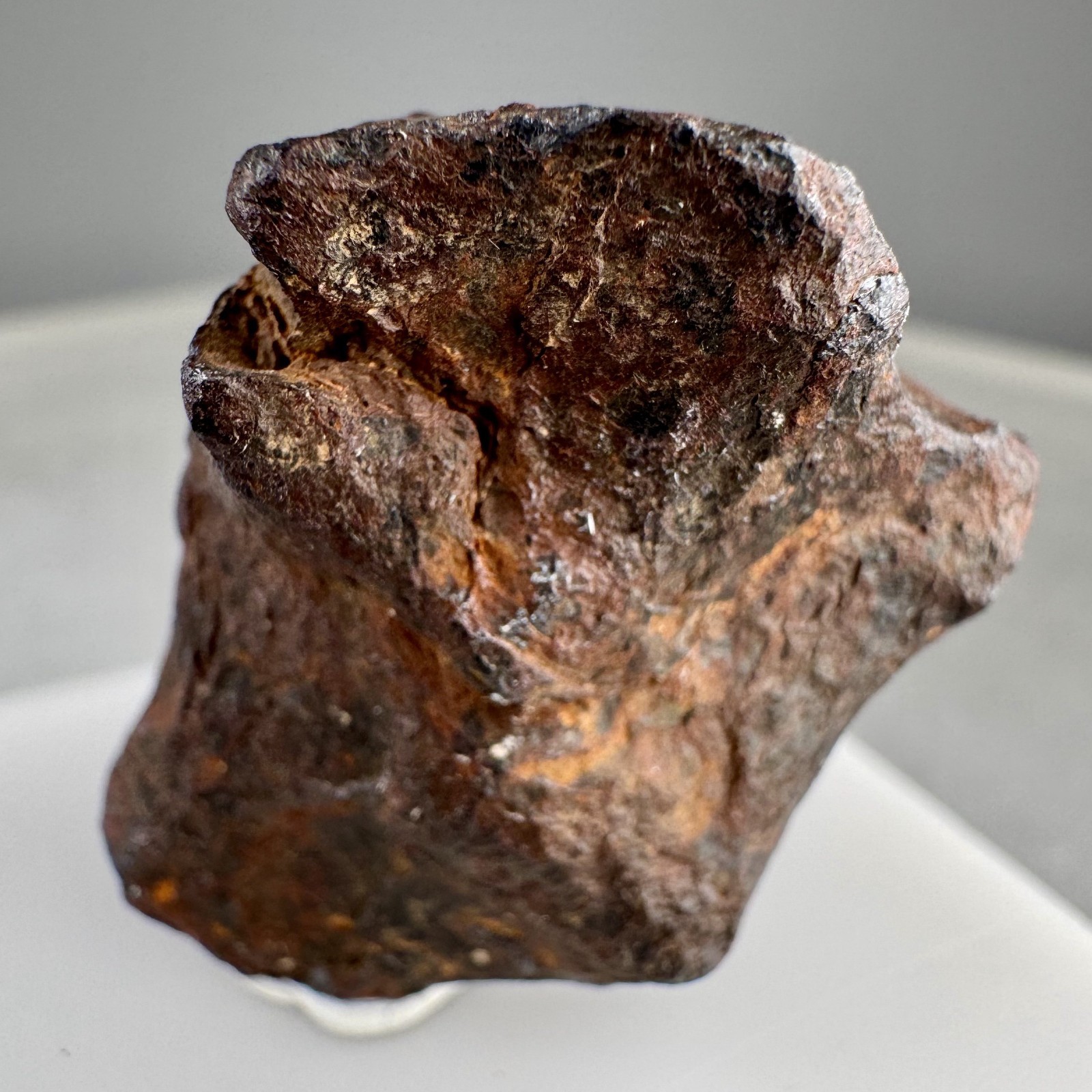 Iron Meteorite: Mundrabilla meteorite, Mundrabilla Roadhouse, Australia