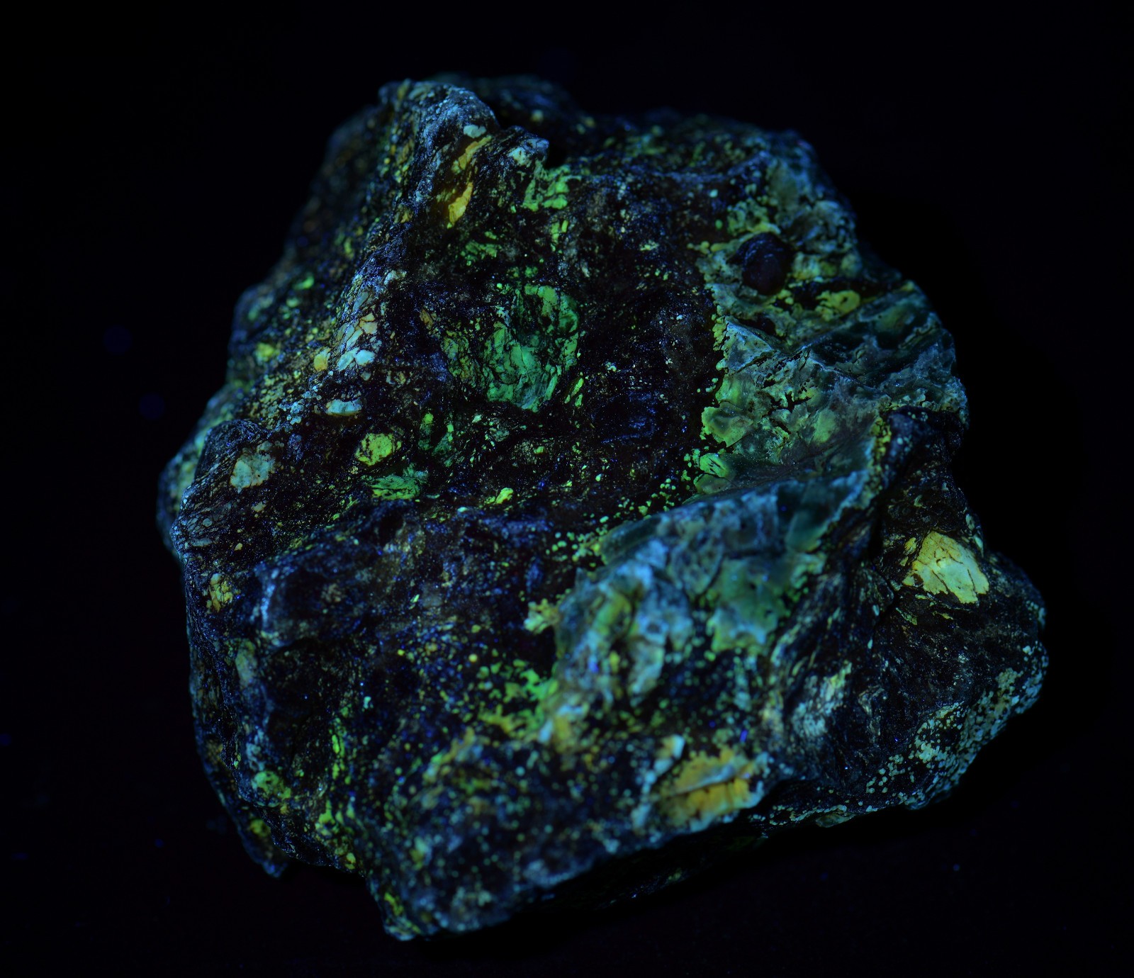 Opal on Sepentine with Magnetite, UV. San Benito, California. 213 grams.