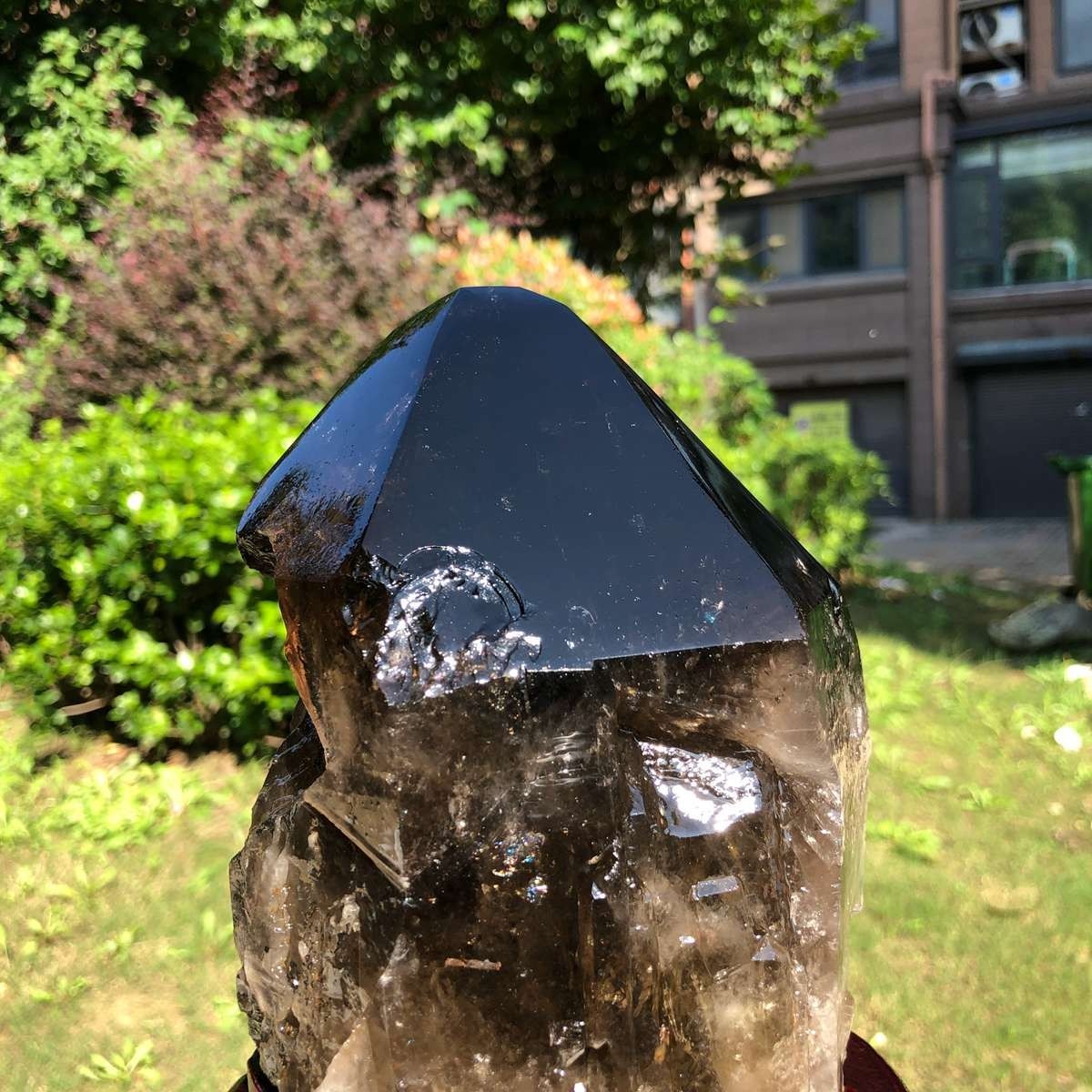 6.29LB Natural Dark tea quartz Crystal Specimen Reiki Mineral Add bracket 2526