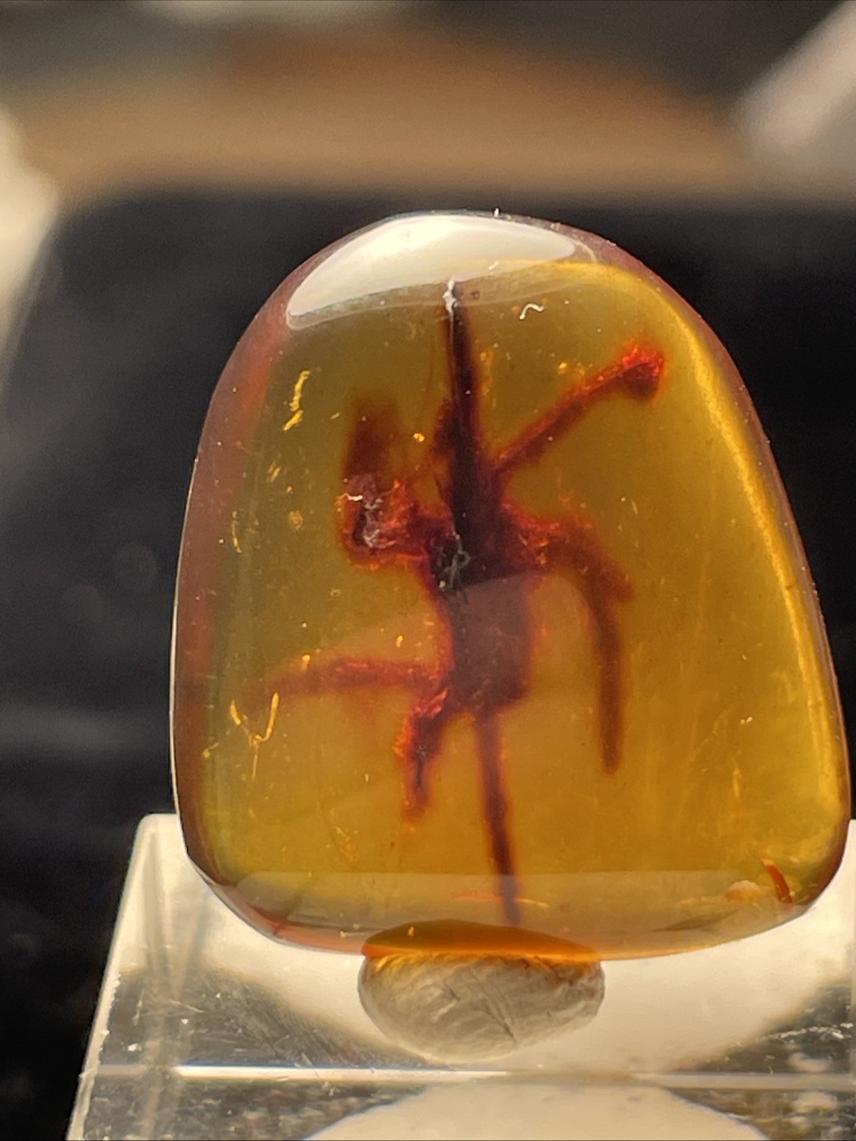 UNIQUE FOSSILIZED SPIDER IN AMBER FROM MYANMAR