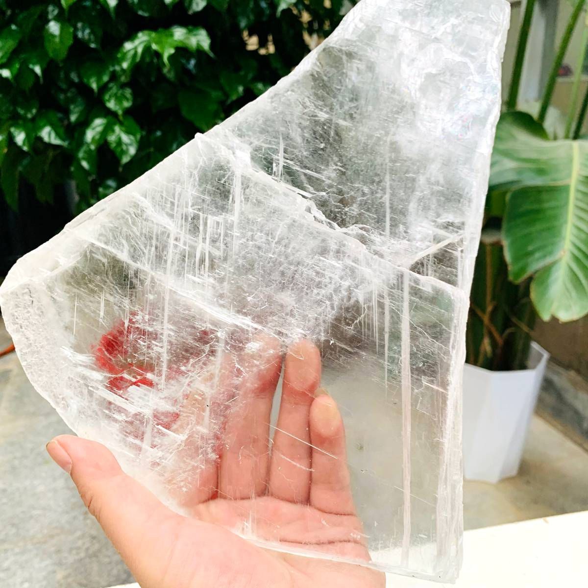 3.59LB Natural Clear Transparent Selenite Slab Gypsum Crystal Mineral Specimen