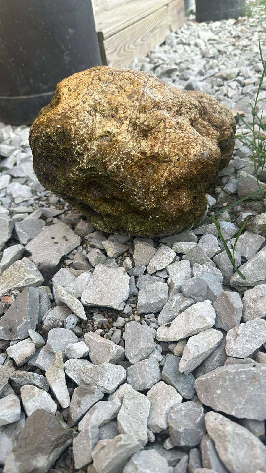 5 lbs Premium Kentucky Uncut Geodes Agates Nodules Lapidary Quartz Crystals Sale