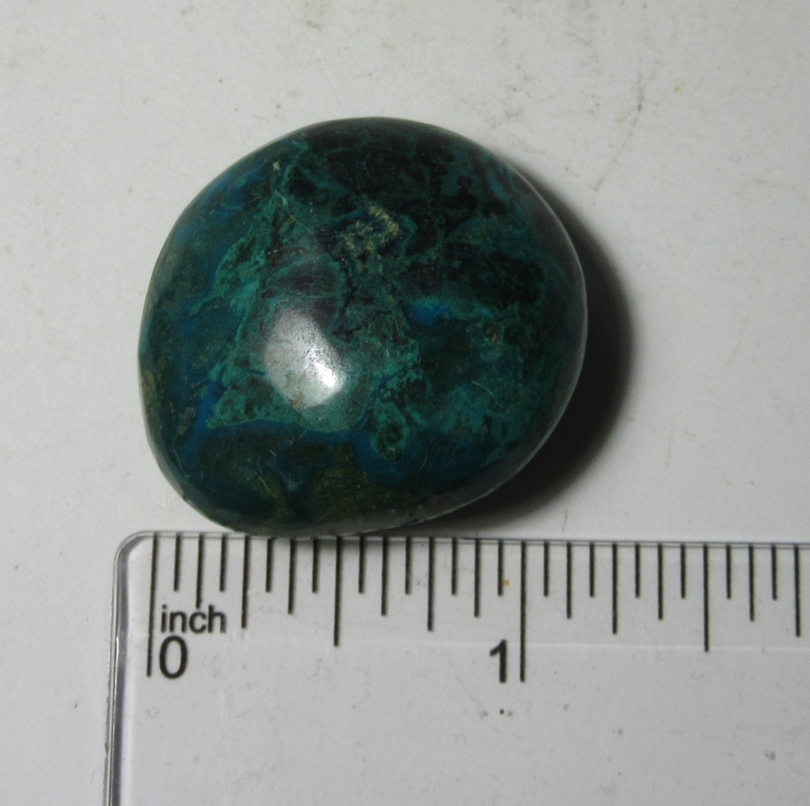 Tumbled Chrysocolla Multicolor 1 1/4 Inch Gemstone Collectible TCMGC-1.25