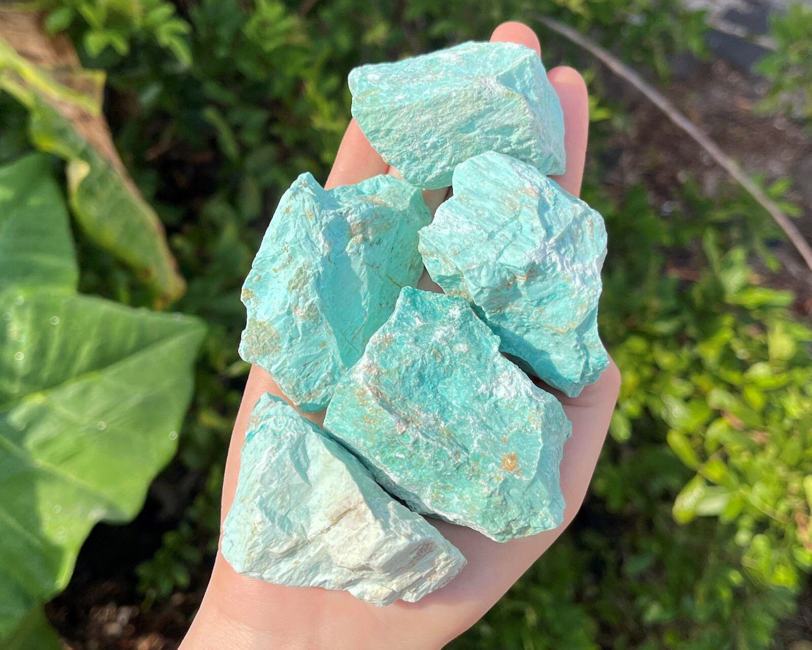 LARGE Turquoise Rough Natural Stones (2-4″): Choose Oz or lb Wholesale Bulk Lots