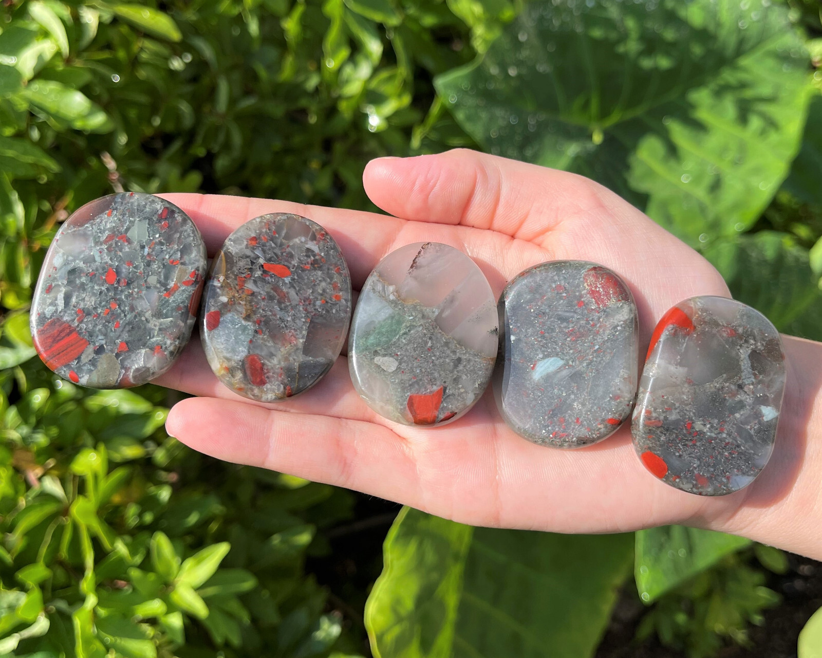 Bloodstone Pocket Palm Stone MEDIUM (Smooth Polished Bloodstone Worry Stone)