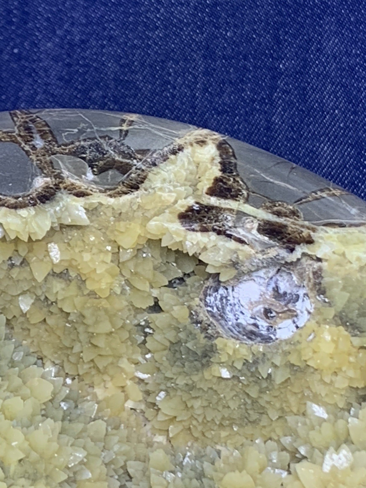 Septarian Nodule Dragon Stone Hollow Half ( Utah) Description Card, And Stand