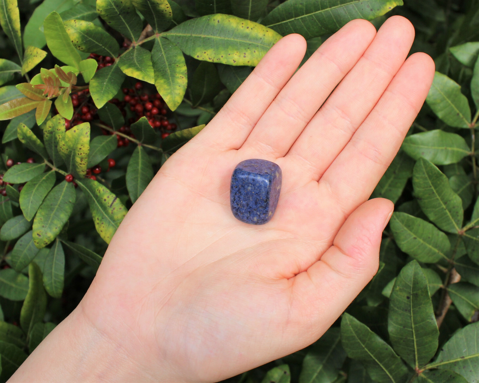 Wholesale Bulk 1/2 lb lot Dumortierite Tumbled Stones Crystal Healing Gemstone