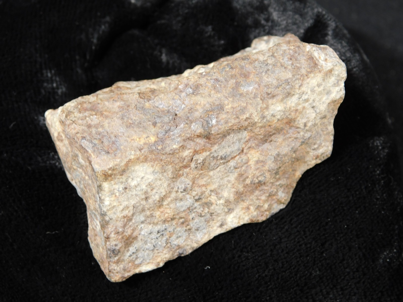 Classified NWA 8245 METEORITE 100% Natural FELL on Erfoud, Morocco 92.7gr