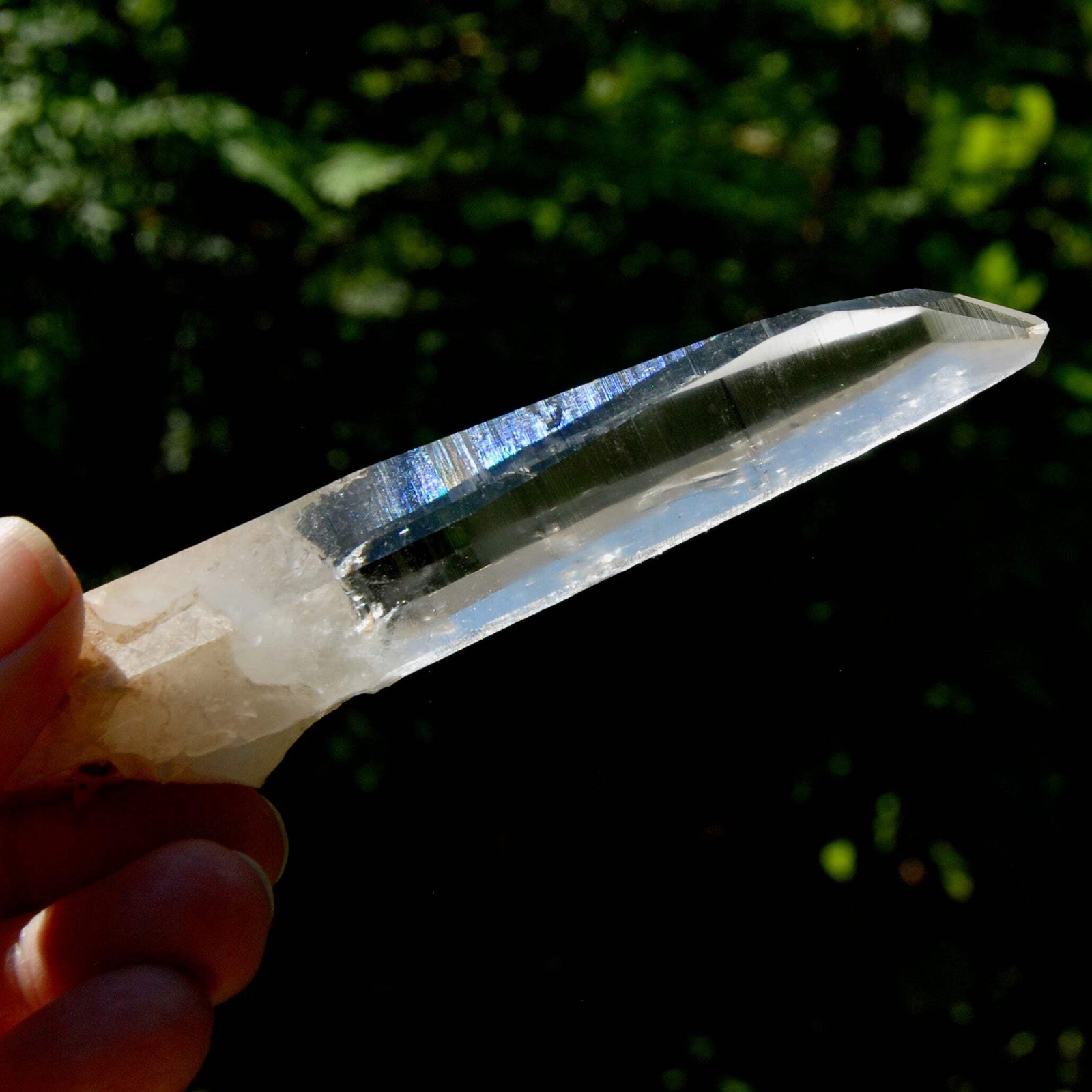 4.5in 55g Lemurian Seed Quartz Crystal Laser, Colombia