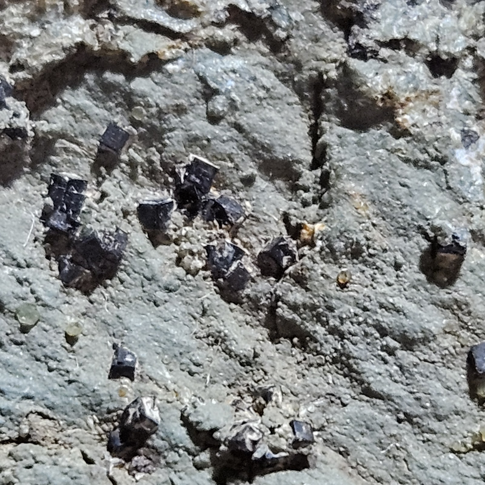 Cubic Magnetite Rare Form San Benito County California Mineral Specimen