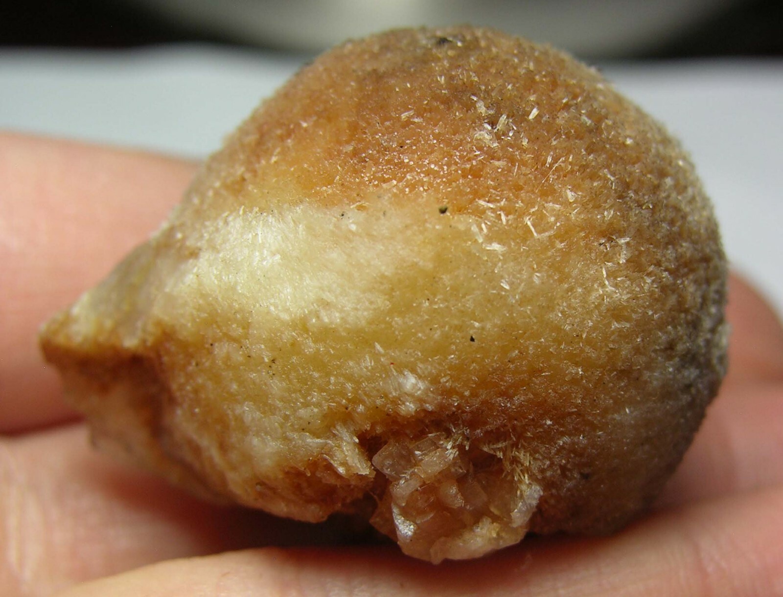 #8 India 1 1/2 in Brown Thomsonite Crystal With Stilbite Specimen 38.00mm