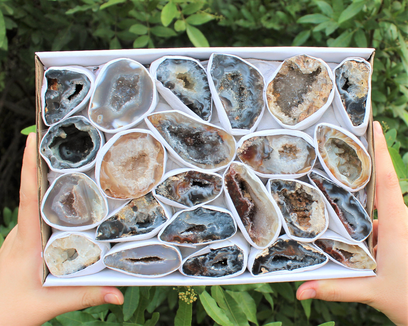 Bulk Large Oco Agate Geodes 1/4 lb Lot, Natural Crystal Druzy Halves (4 oz)