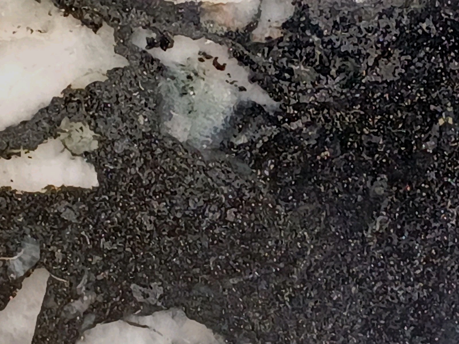 10″ Brecciated Quartz Magnetite Amphibole Pilot Knob MO Polished Display Mineral