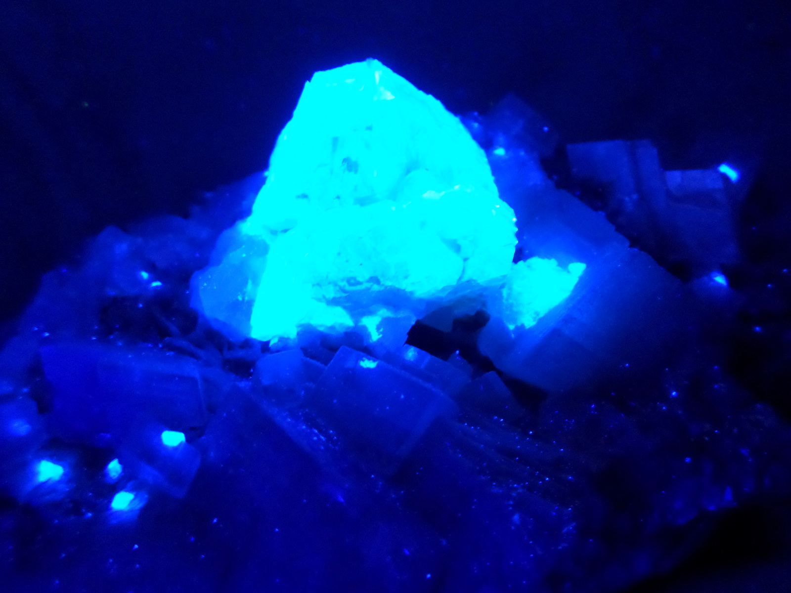 KB: SW FL BRIGHT BLUE/WHITE SCHEELITE CRYSTAL ON MATRIX FROM PINGWU, CHINA
