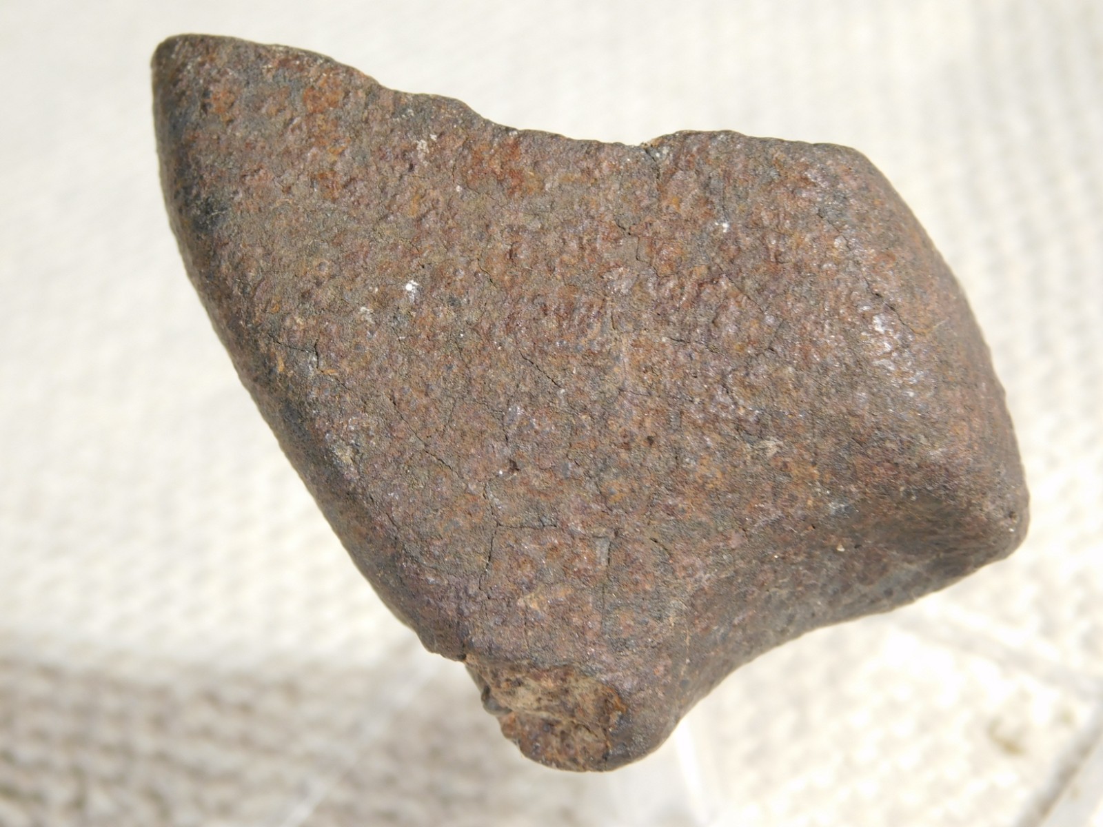 Stony N.W.A. METEORITE 100% Natural FELL in Libya 98.4gr