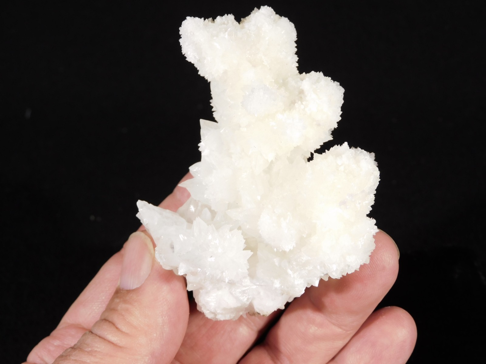 Bright White! CAVE Aragonite STALACTITE Crystal Cluster Mexico 145gr