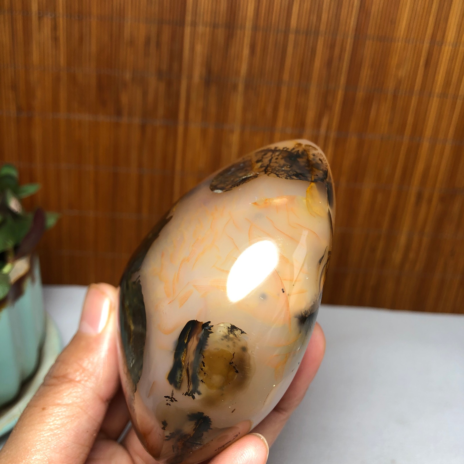 Natural aquatic plants agate pretty Crystal specimens free standing 331g A9998