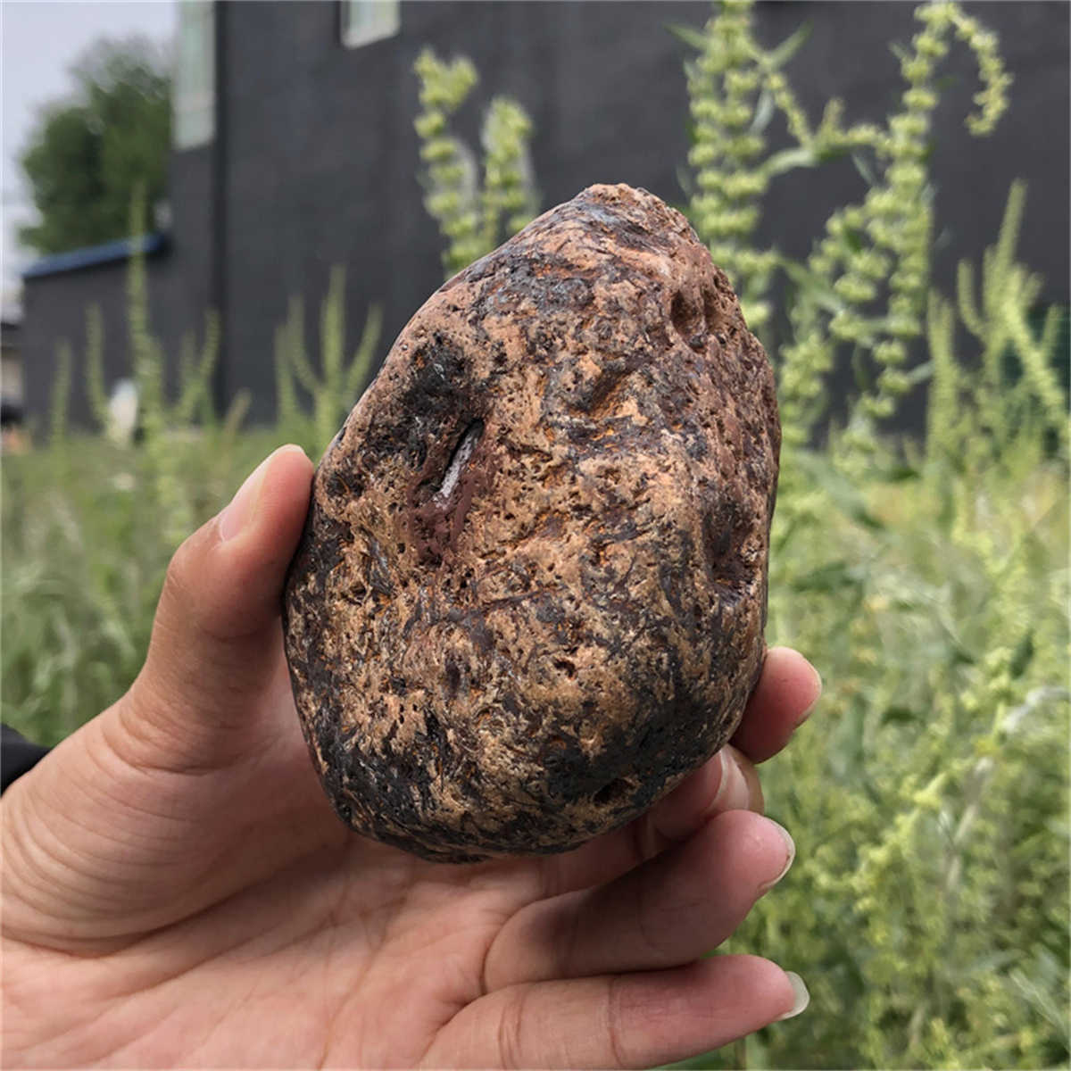 270g Natural Needle Ironstone Mineral Specimen Healing Reiki Decor Crystal Gift