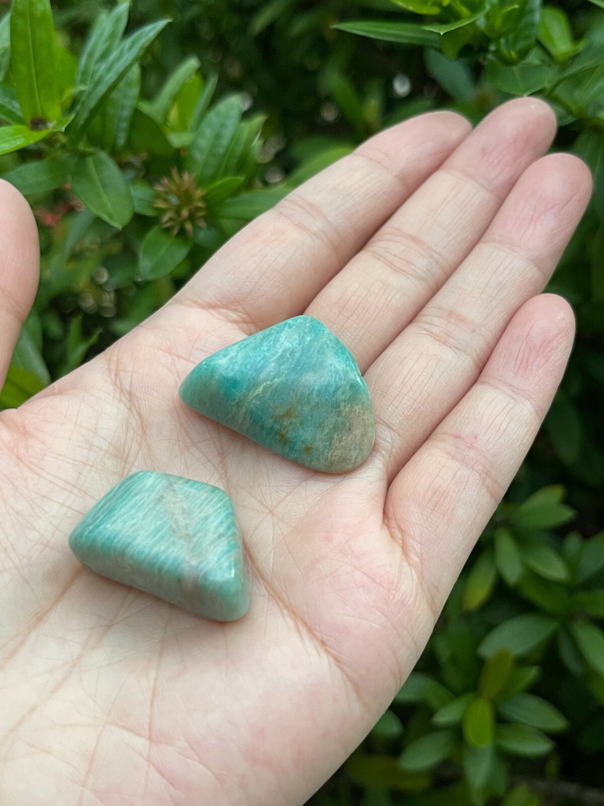 Grade A++Amazonite Tumbled Stones, 0.8″-1.25″ Polished Amazonite, Wholesale Lots