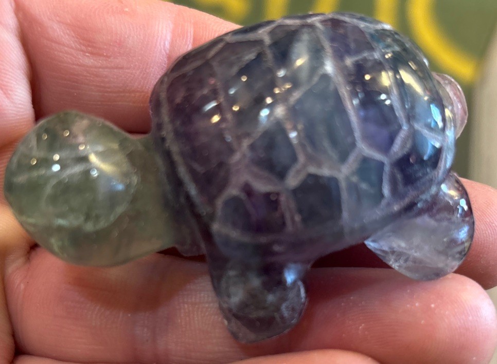 2 1/2” Fluorite Turtle Hand Carved 96.3 Grams