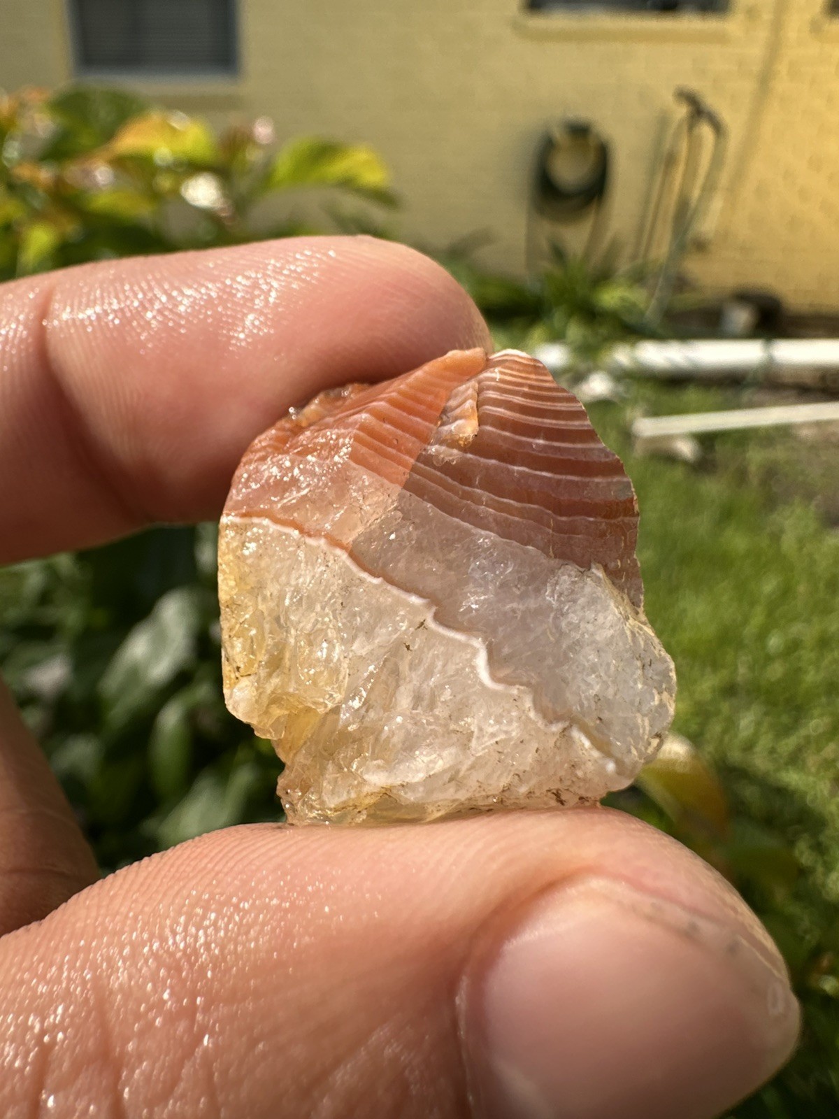 1.75 oz Lake Superior Agate Lapidary Lot 5 Multicolor Beauty’s