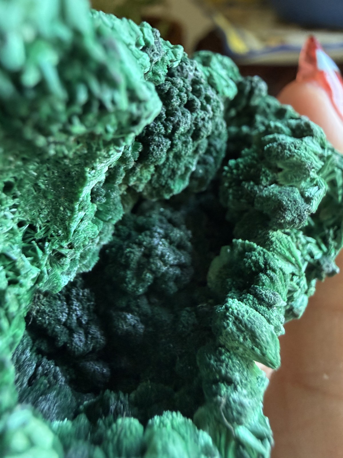 Malachite Crystal Specimen (Floating, No Matrix) – 5.68 oz