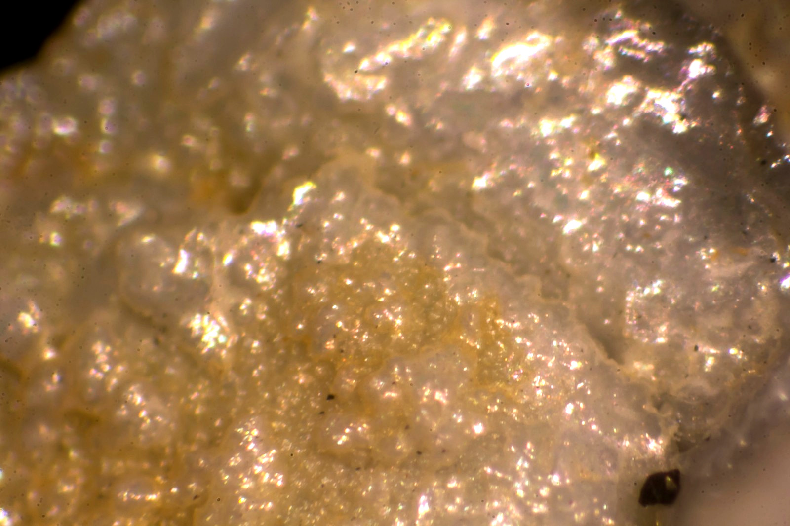 Sasaite (Type Locality): Breitenau Mine, Hochlantsch, Styria, Austria-MIcromount