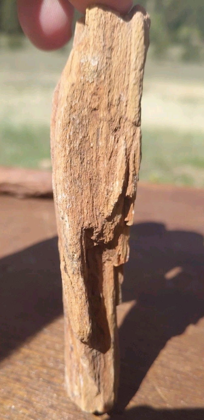 Petrified Wood Fossilized Twisted Branch Bark Druzy Quartz 1/4Lb – 4 1/2″×1 1/4″