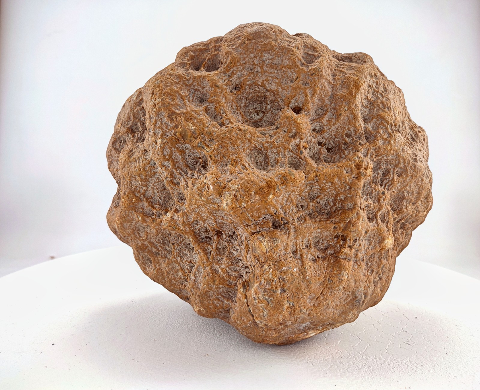 8″ Unopened Geode Nodule Round Bumpy Exterior Kentucky Quartz Crystal 8.4 LB